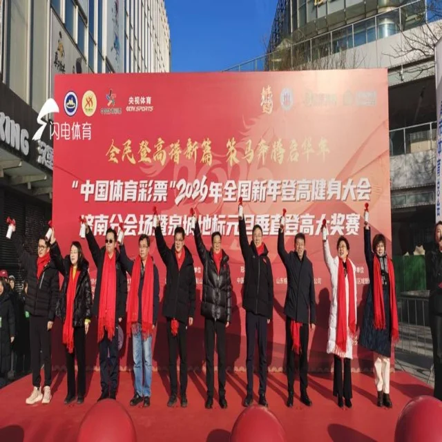 张雨霏达标战：冲击新高度的里程碑时刻